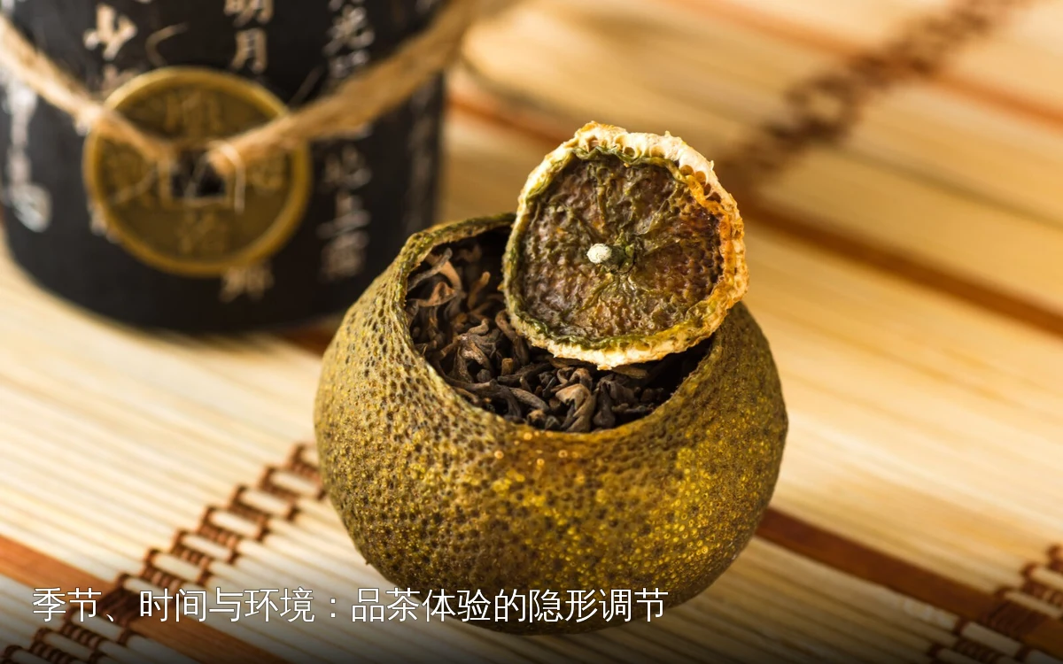 主题场景配图，仅作示意